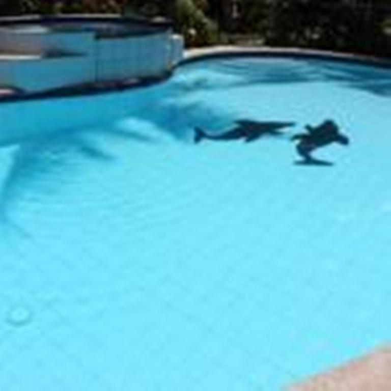 Lost Horizon Beach Dive Resort Bohol Eksteriør bilde